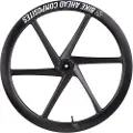 Bike Ahead Biturbo Aero Cl Disc Tubeless Baghjul Til Landevejscykel