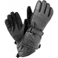 Iguana Axel Handsker