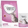 Concept for Life Maine Coon Kitten - Forbedret opskrift! - Supplement: 12 x 85 g Concept for Life Kitten i gelé