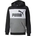 Puma Essentials+ Colorblock Fl Sweatshirt