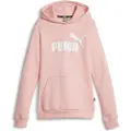 Puma Ess Logo Fl G Hættetrøje