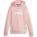 Puma Ess Logo Fl G Hættetrøje