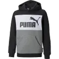 Puma Essentials+ Colorblock Fl Sweatshirt