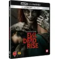 SF Studios Evil Dead Rise Dvd