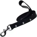 Gloria Spiked Hundesnor