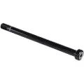 Specialized Mtn Boost Bolt On 5 Mm Hex M12x1.0px175.5 Mm Gennemgående Bagaksel