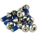 Sram Rotor Bolt Titanium T25 Krankarm Skruesæt 12 Enheder
