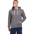 Adidas Entrada 22 Hættetrøje