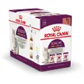 Royal Canin Sensory Multipack (Smell/Tast/Feel) i sauce - 12 x 85 g