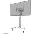 NeoMounts Select - cart - for flat panel - black 70 kg 75" 100 x 100 mm