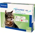 Virbac Effipro Duo spot-on loppemiddel til katte (til 6 kg)
