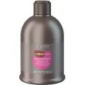Alter Ego Silver Maintain Shampoo - 300ml