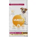 IAMS Advanced Nutrition Senior & Mature Small Medium Kylling - 12 kg