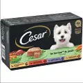 Cesar Classic Selection Mix - Haveterrine (4 x 150 g)