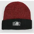 Lurking Class Box Logo Beanie rød