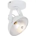 QAZQA Industriel loftslampe hvid med sølv 15 cm justerbar - Magnax