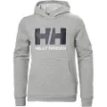 Helly Hansen Logo Hættetrøje