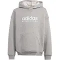 Adidas All Szn Hættetrøje