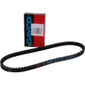 DAYCO Suzuki Street Magic 50cc 27601-06f01-000 Drivrem
