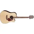 Takamine GD93CE Dreadnought Electro Acoustic Natural