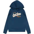Jack & Jones Logo Hættetrøje