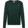 Gant Ganttil mænd. 8030562 Klassisk grøn bomuldspullover med V-hals og V-hals (M), Casual