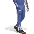 Adidas Olympique Lyon 23/24 Træning Bukser