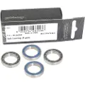 Campagnolo Ceramic Freewheel Lejer 4 Enheder