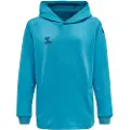 Hummel Core Xk Poly Hættetrøje