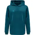 Hummel Core Xk Poly Hættetrøje