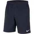 Nike Park Fleece Shorts