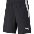 Puma Teamliga 2 Shorts