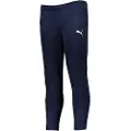 Puma Teamrise Poly Træningsbukser