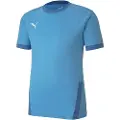 Puma Teamgoal 23 T-shirt Med Korte ærmer