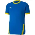 Puma Team Goal 23 T-shirt Med Korte ærmer