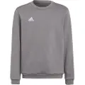 Adidas Entrada 22 Stadium Sw Sweatshirt