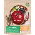 Purina One Mini Active Kylling & Ris - Økonomipakke: 3 x 800 g