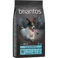 Briantos Adult Mini Laks & Kartoffel - KORNFRI - 12 kg