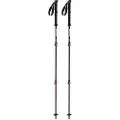 Arva Fuji Carbon 3 Parts Powerlock + Long Grip Spadserestokke