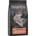 Briantos Adult Light/Sterilised Kalkun & Kartoffel - KORNFRI - 2 x 12 kg