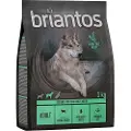 Briantos Adult Lam & Kartoffel - KORNFRI - 1 kg