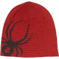 Spyder Reversible Innsbruck Beanie