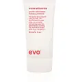 Evo Mane Attention Protein Treatment