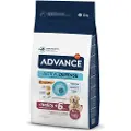 Affinity Maxi Senior med kylling og ris hundefoder