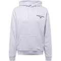 Tommy Hilfiger Reg Entry Graphic Hættetrøje