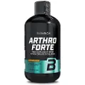 BiotechUSA Arthro Forte, Orange - 500 ml.