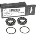 Campagnolo Kit Revision Hub Krankleje