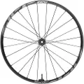 Zipp Am 1zero Hitop Sw 29´´ Cl Disc Tubeless Mtb Forhjul