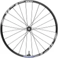 Zipp Am 1zero Hitop Sw 29´´ Cl Disc Tubeless Mtb Forhjul