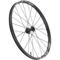Zipp Am 1zero Hitop S 29´´ 6b Disc Tubeless Mtb Forhjul